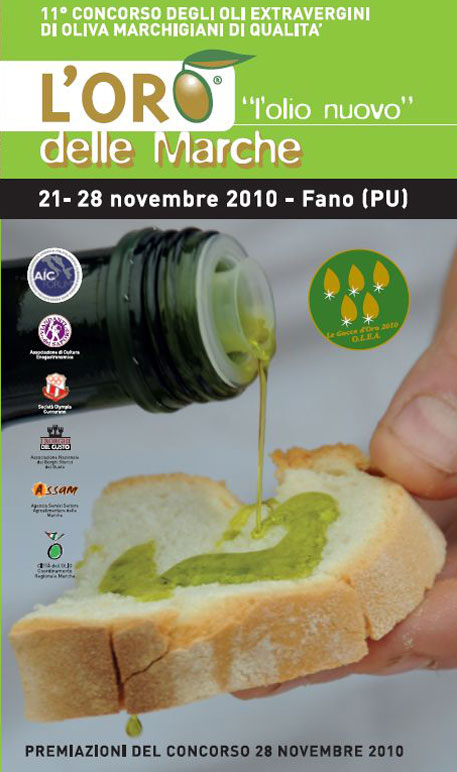 L'Oro L'olio nuovo nelle Marche