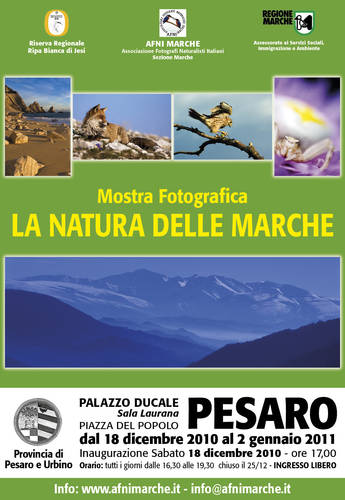 Natura nelle Marche