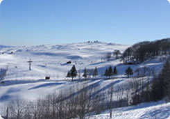 Parco del Sasso Simone e Simoncello Parco del Sasso Simone e Simoncello